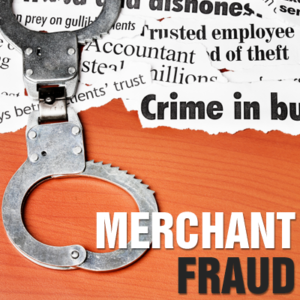 Merchant Fraud Signals
